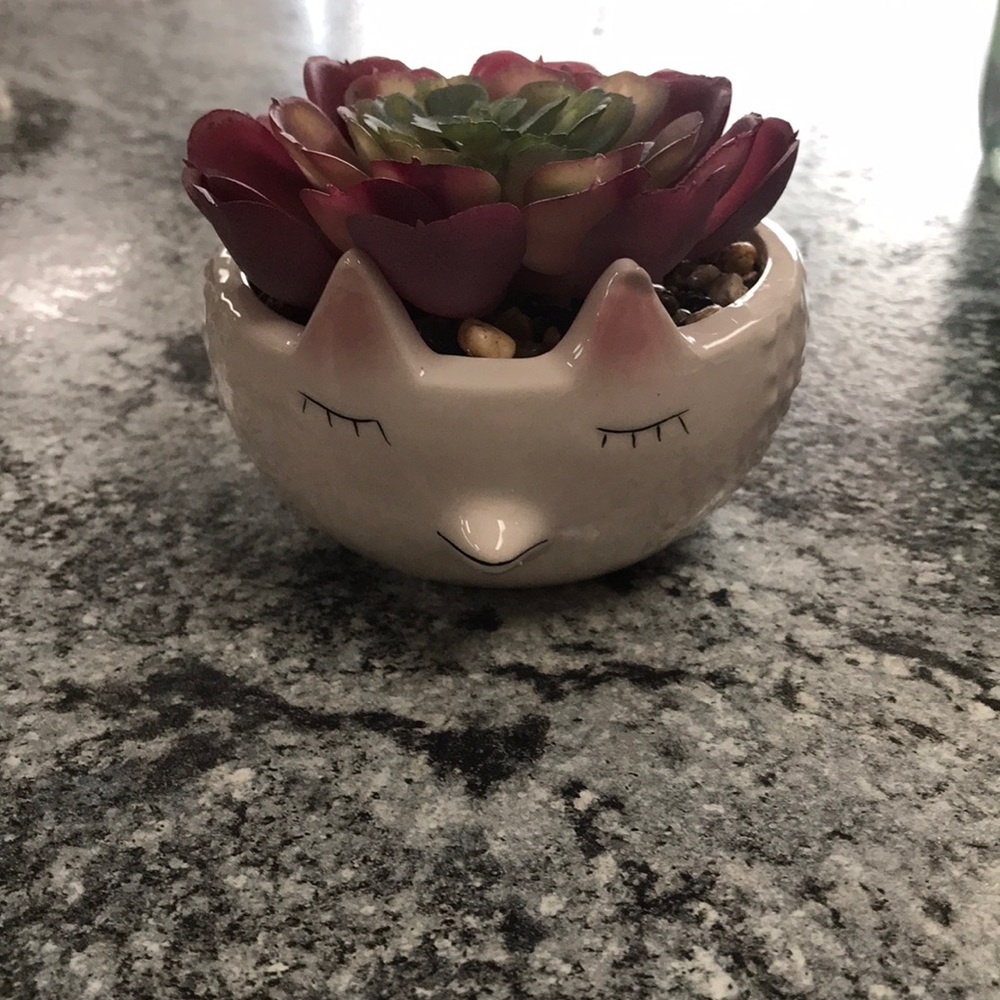 Primitives by Kathy - Picture 2 of 3